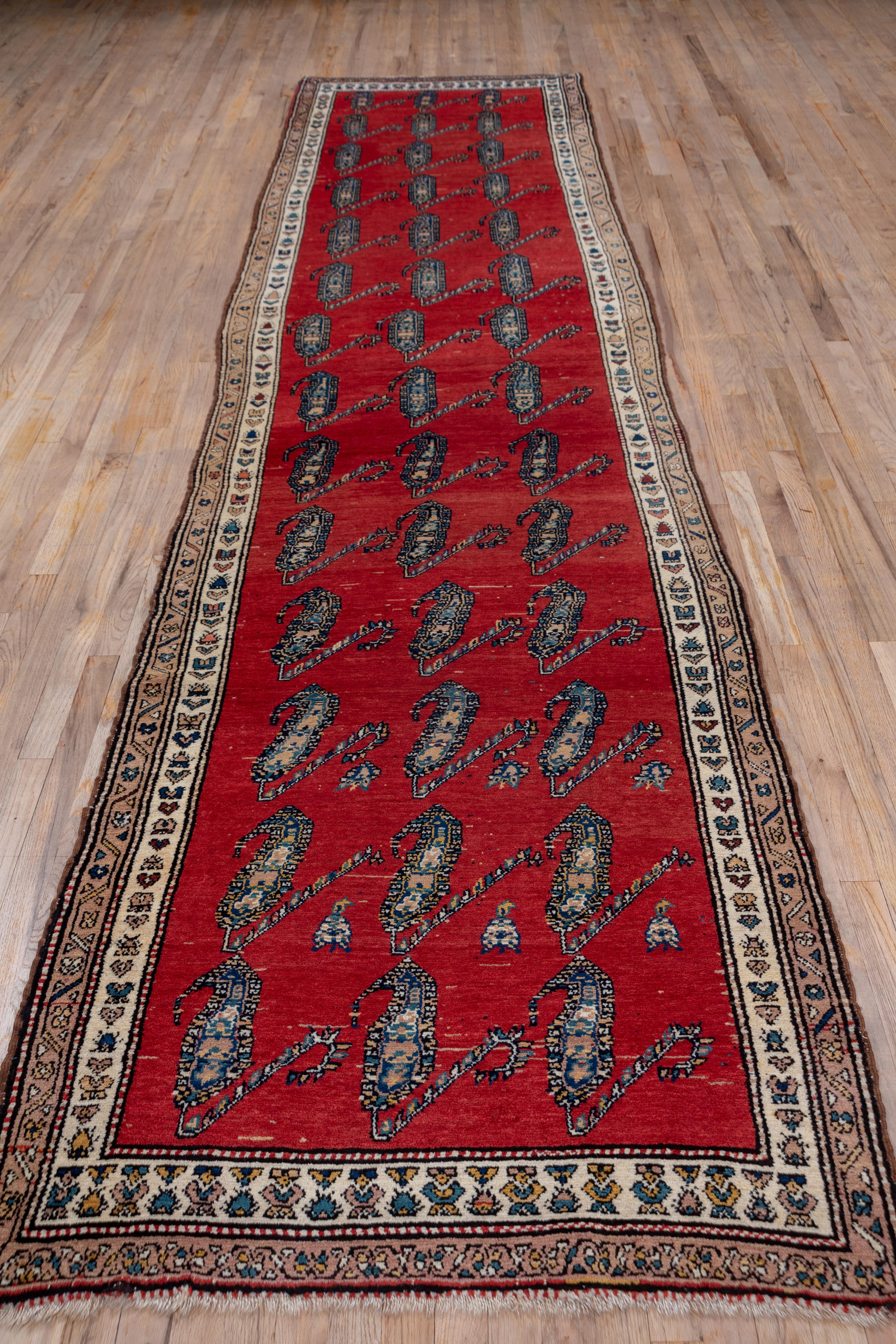 Das lebhafte rote Feld zeigt Reihen von leicht geneigten, schlanken, geblümten Botten, drei in einer Reihe, in einem eindeutig aus Textilien stammenden Muster. Die cremefarbene Hauptbordüre dieses attraktiven rustikalen Läufers aus Westpersien zeigt