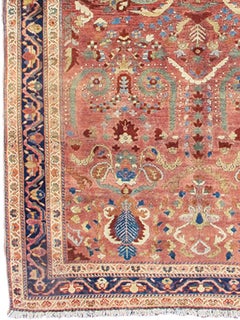Malayer Sarouk Rug, Early 20th Century
