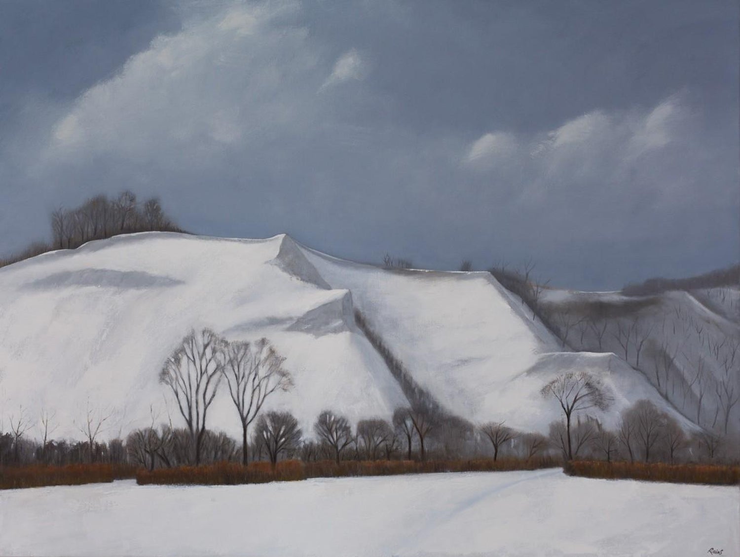 Malcolm Rains - The Scarborough Bluffs, Winter 2020 For Sale at 1stDibs