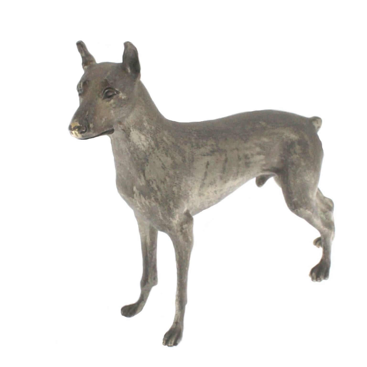 Male Doberman dog sculpture in Silver
