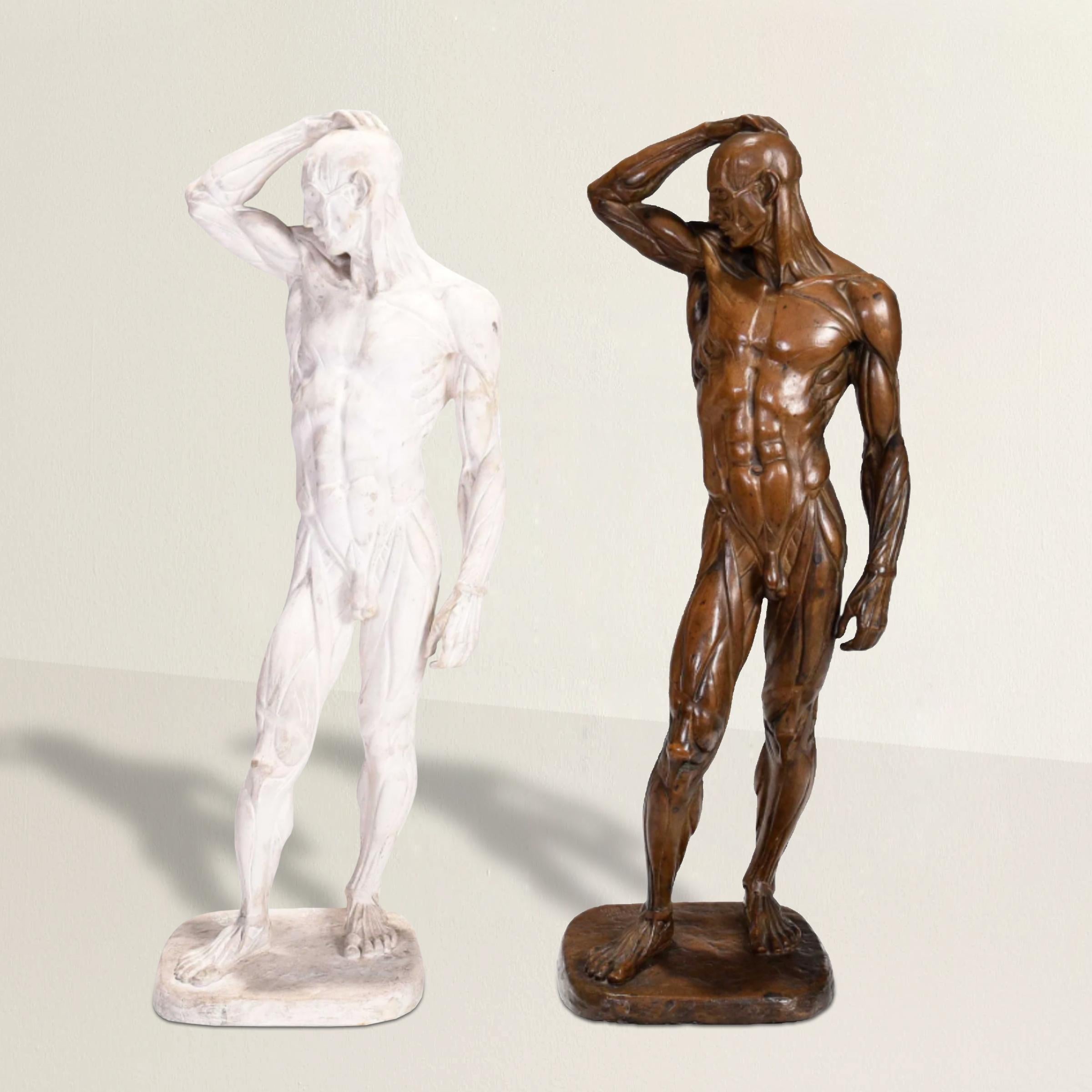 Questa rara coppia di sculture in écorché della famosa scultrice americana Brenda Putnam (1890-1975) offre un'affascinante visione del processo artistico e dello studio anatomico. Risalente al 1939, la collezione comprende il modello originale in