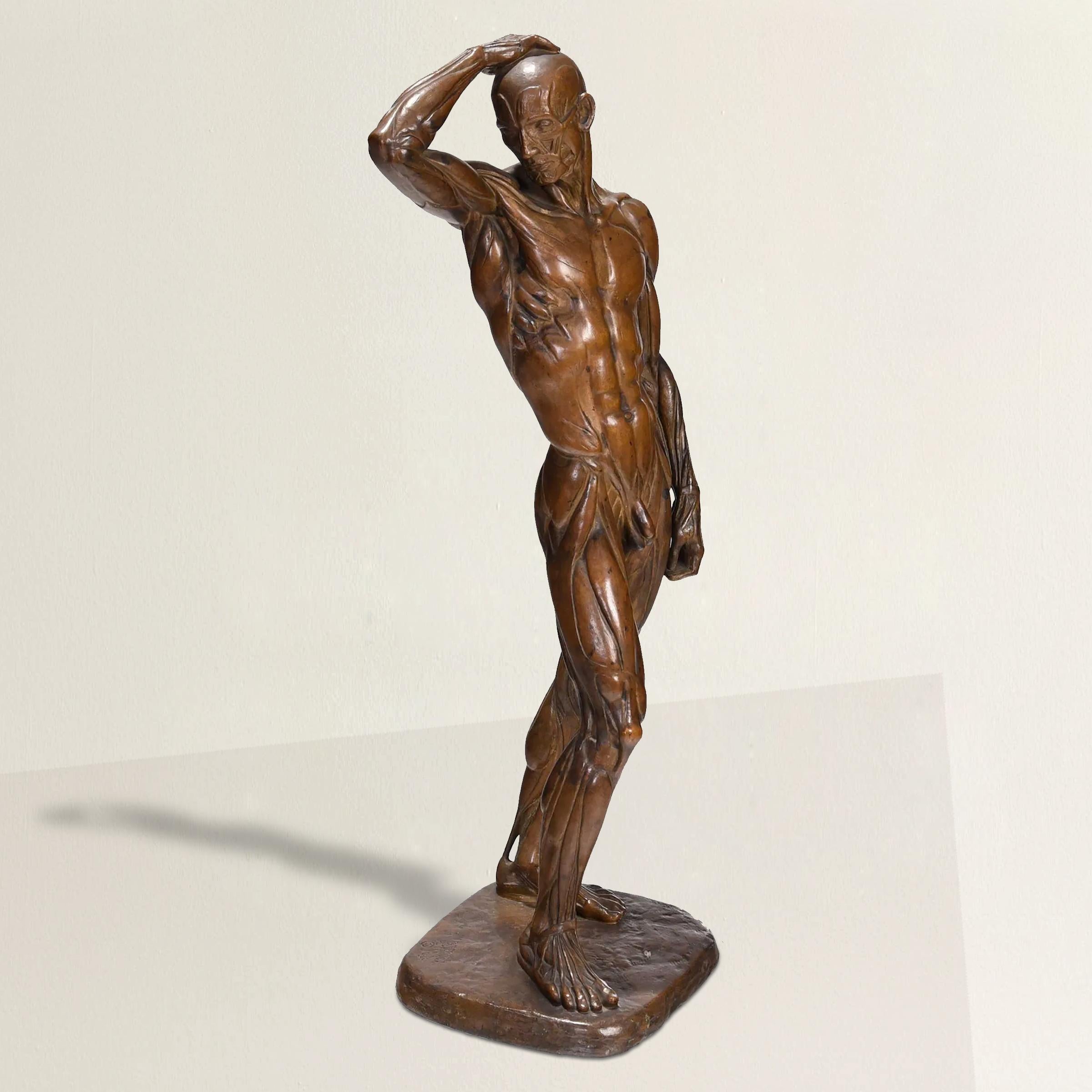 Moderno Sculture maschili Écorché di Brenda Putnam, 1939 ca. in vendita