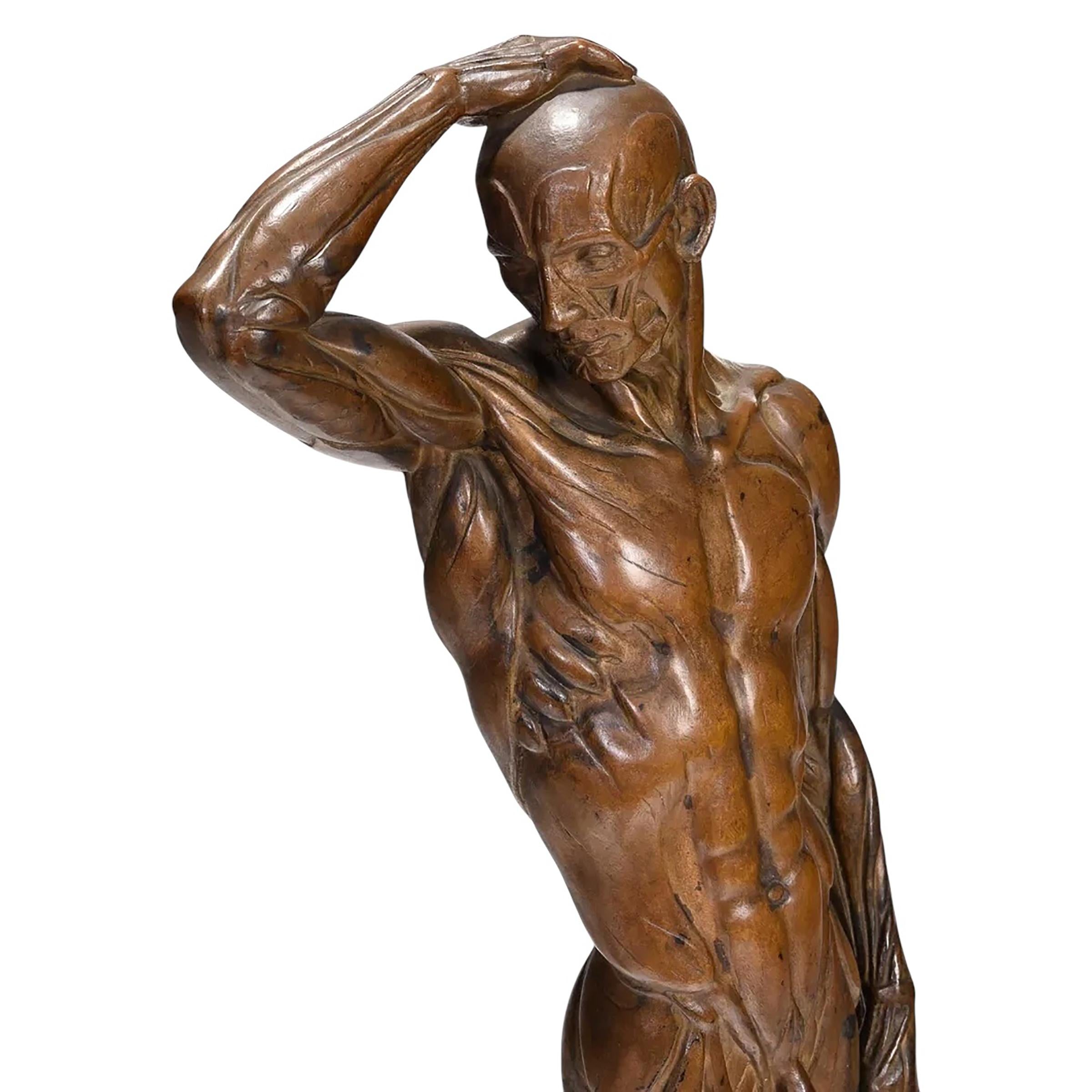 Bronzo Sculture maschili Écorché di Brenda Putnam, 1939 ca. in vendita