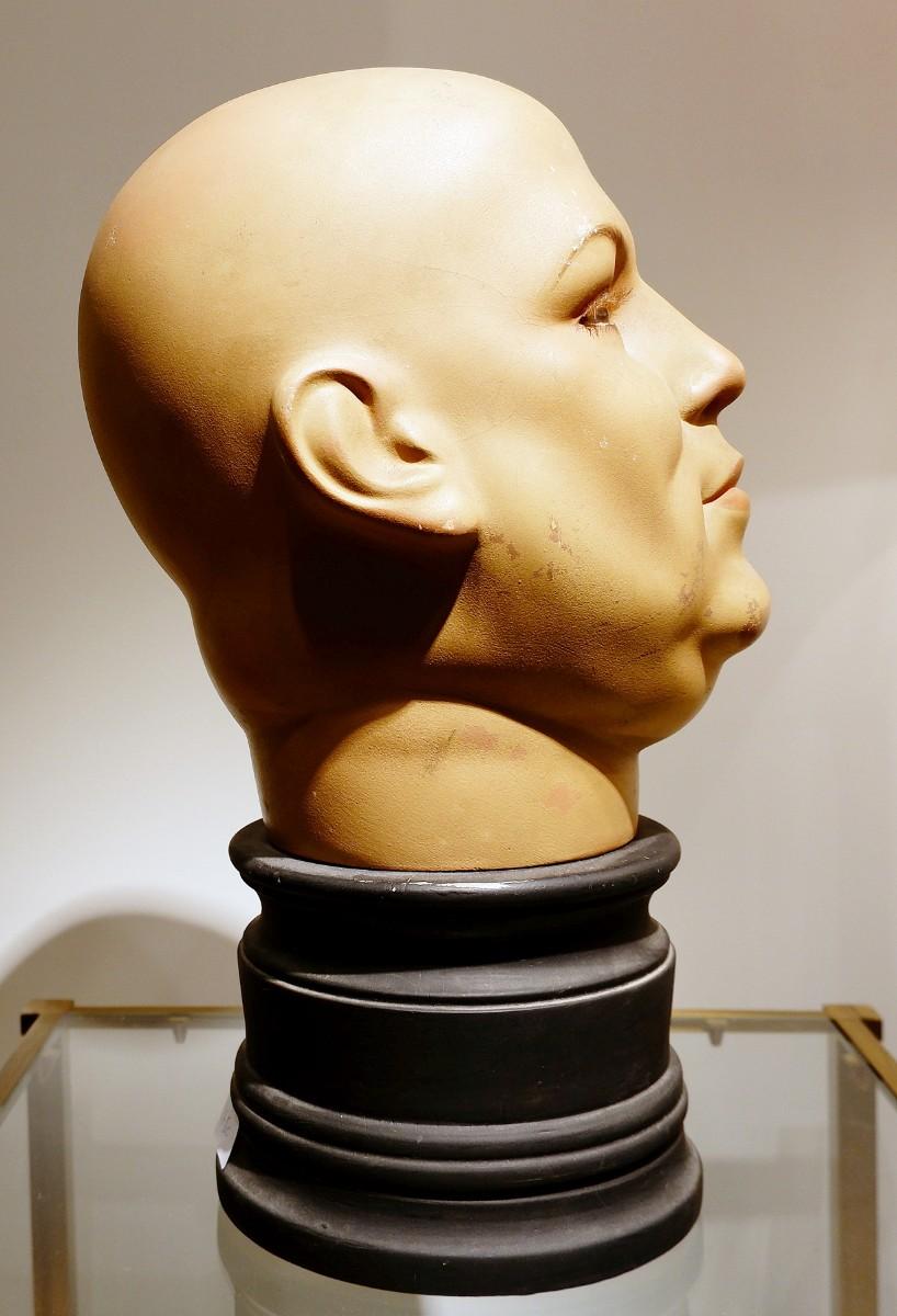 Carbon Fiber Male Mannequin Head for Millinery or Store Display For Sale
