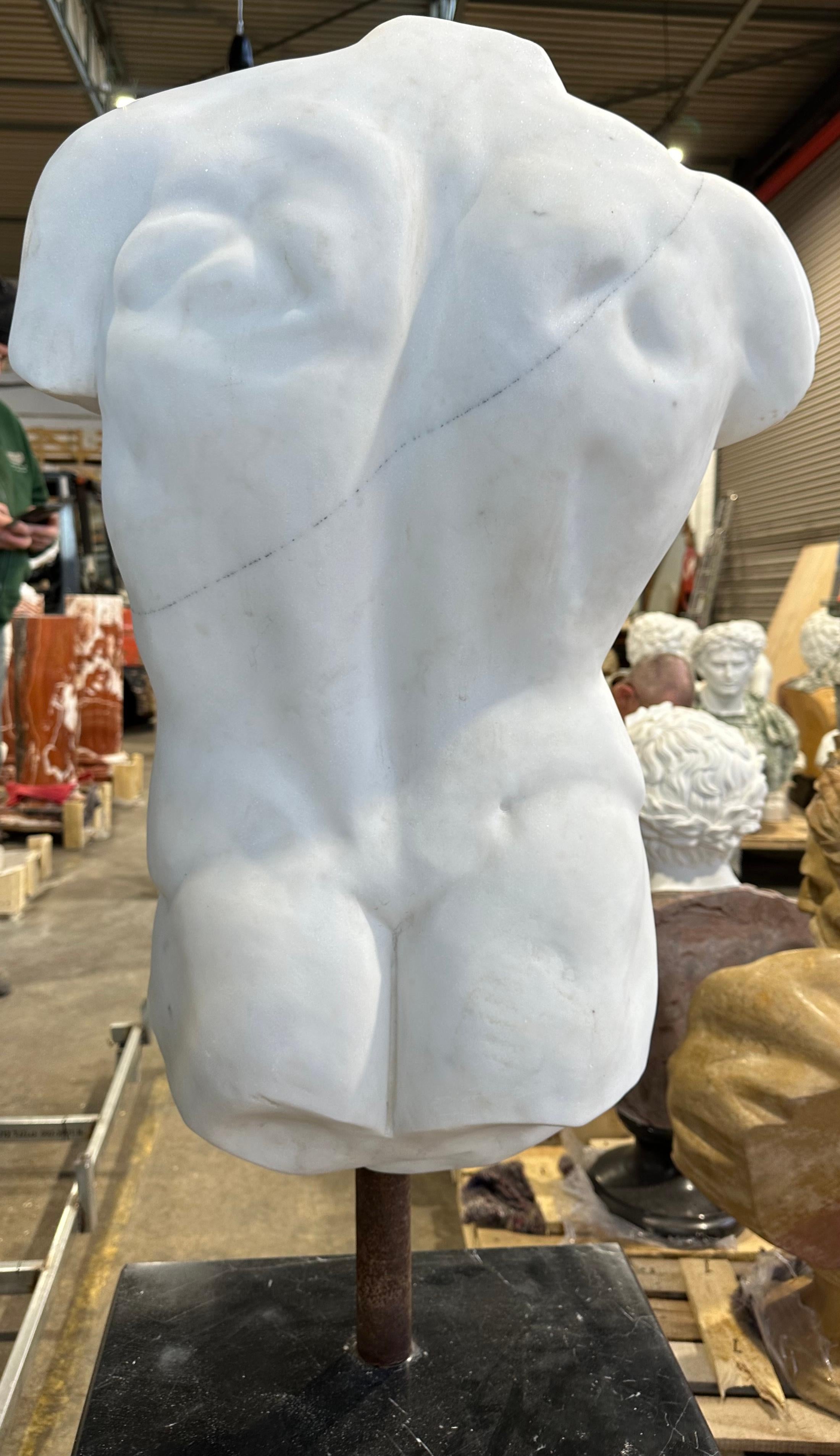 Hand-Carved Male Marble Torso On Black Marble Base For Sale