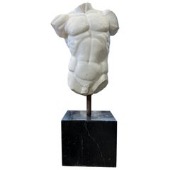 Torso maschile in marmo su base in marmo nero