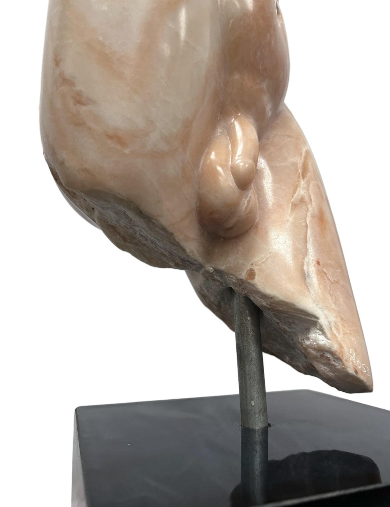 Male Torso in Pink Marble by Sculptor Bryan Ross 5