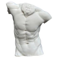 Male Torso Sculpture - 20th Century Classical Style