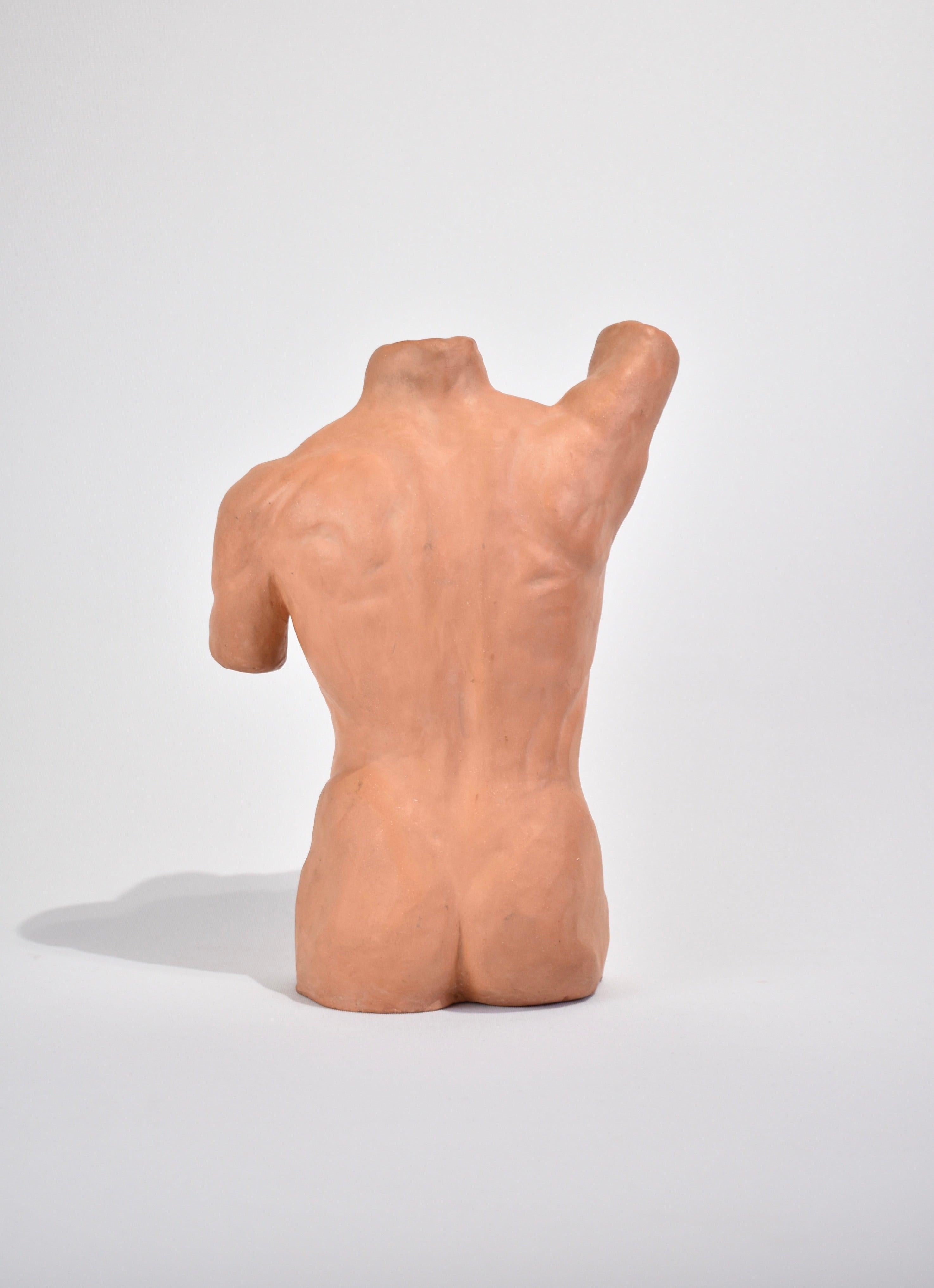 Hand-Crafted Male Torso Sculpture