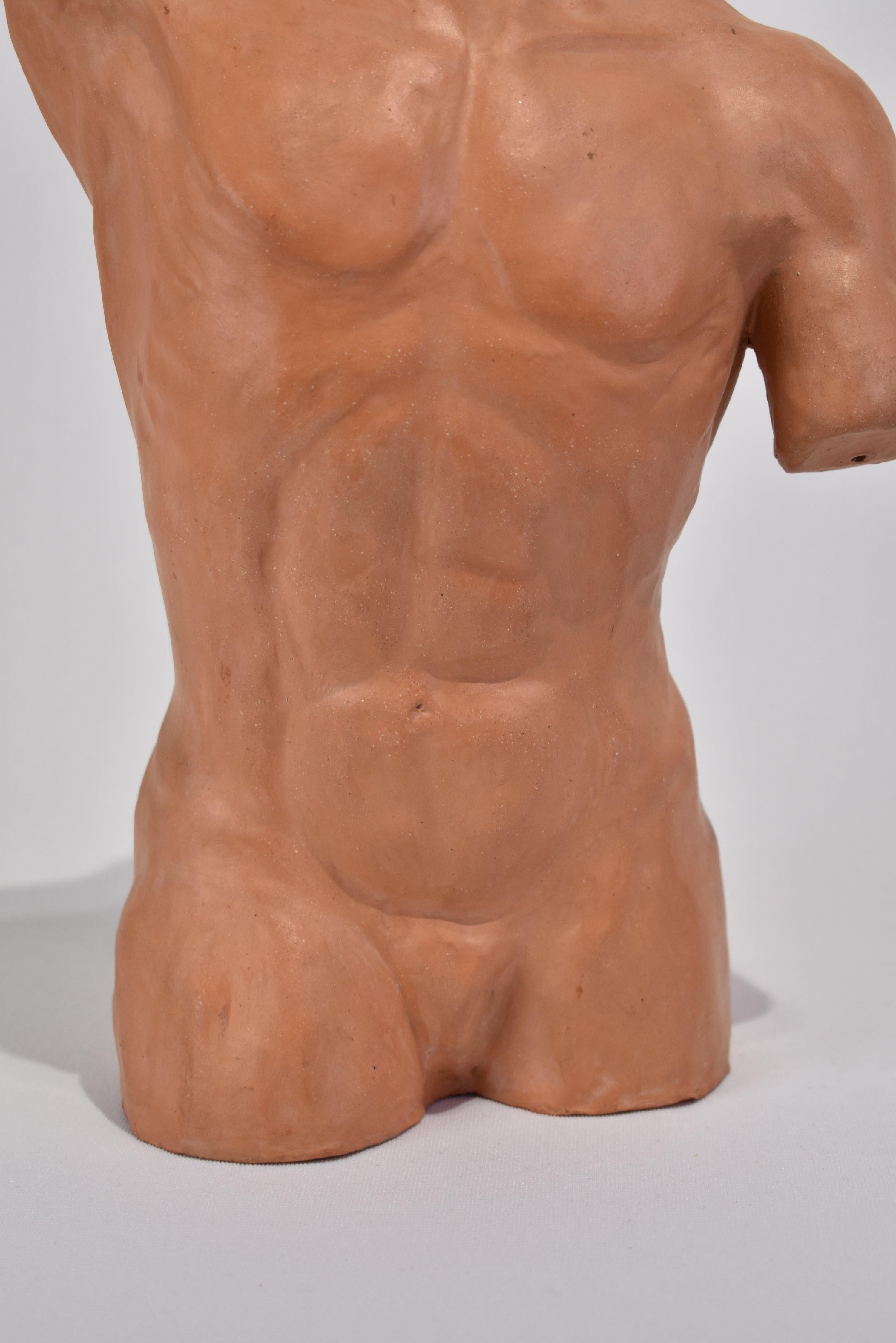 20th Century Male Torso Sculpture
