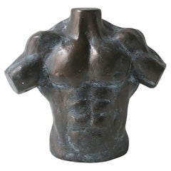 Male Torso Sculpture