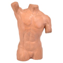 Sculpture de torse masculin