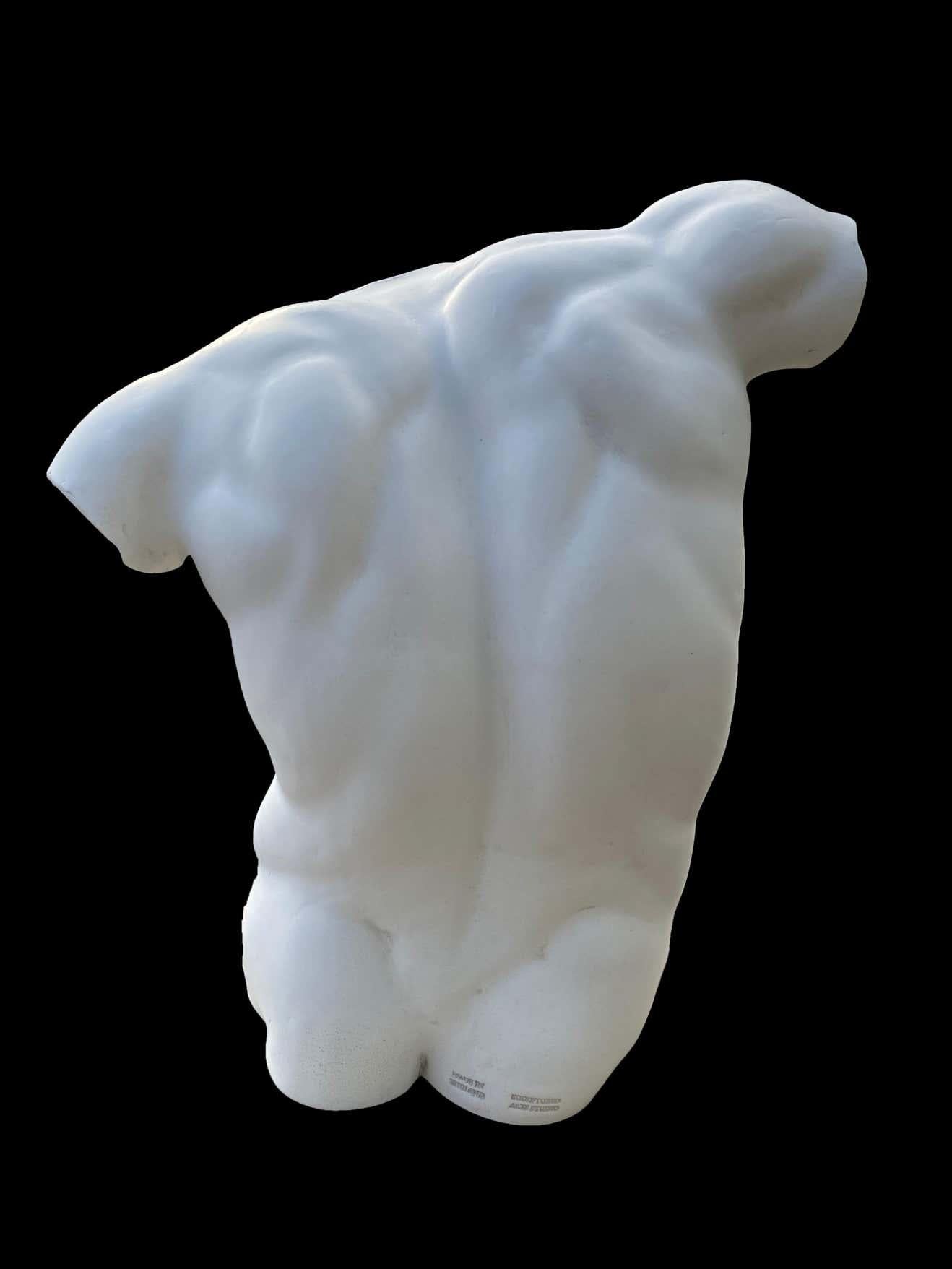 Male Torso Statue, 20th Century 4