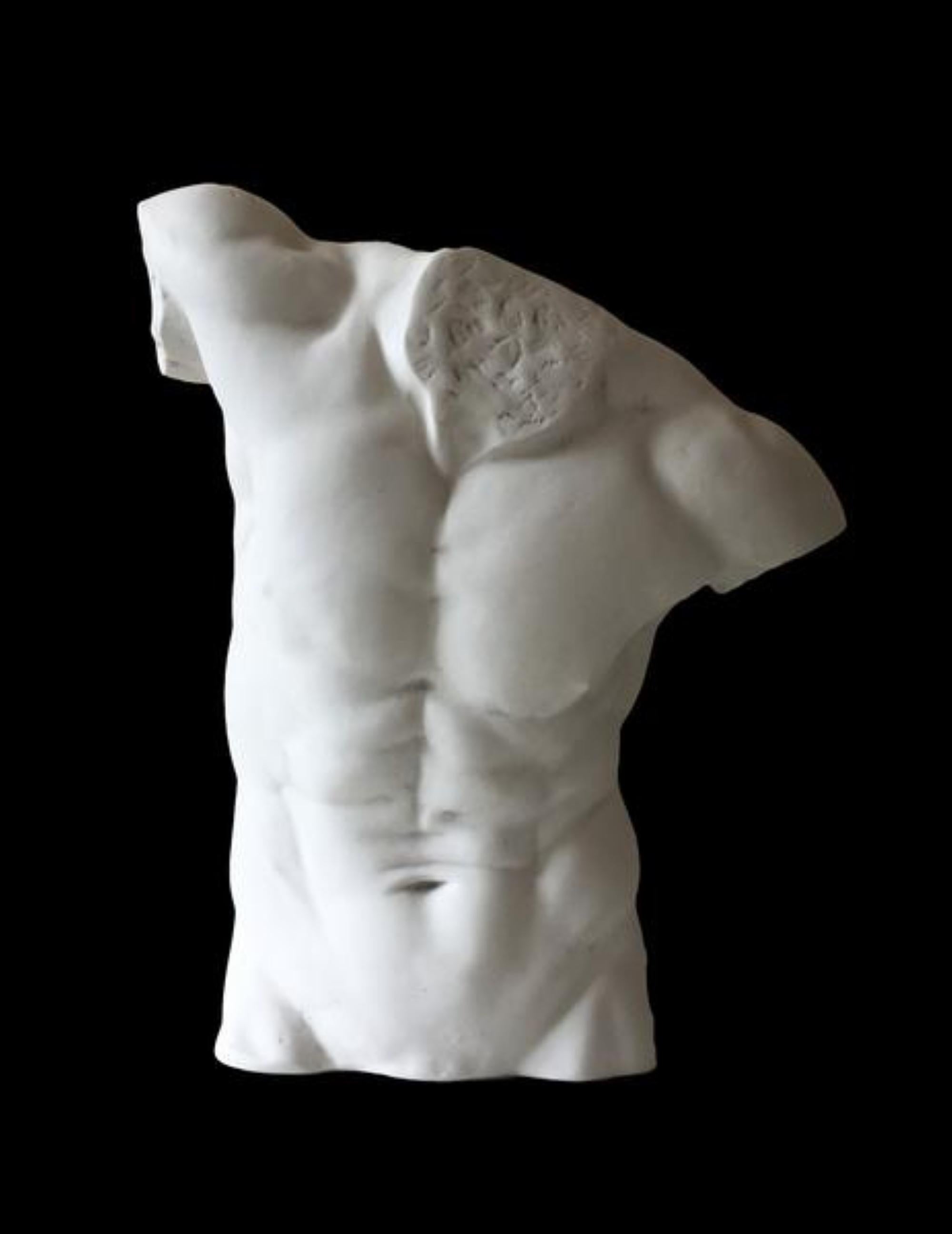 Large male torso statue resembling the classical movement of the famous Laocoön and Belvedere torso in the Vatican Museums.

Stunningly well executed, this large sculpture of a naked male torso has incredible details at the back and front muscles,