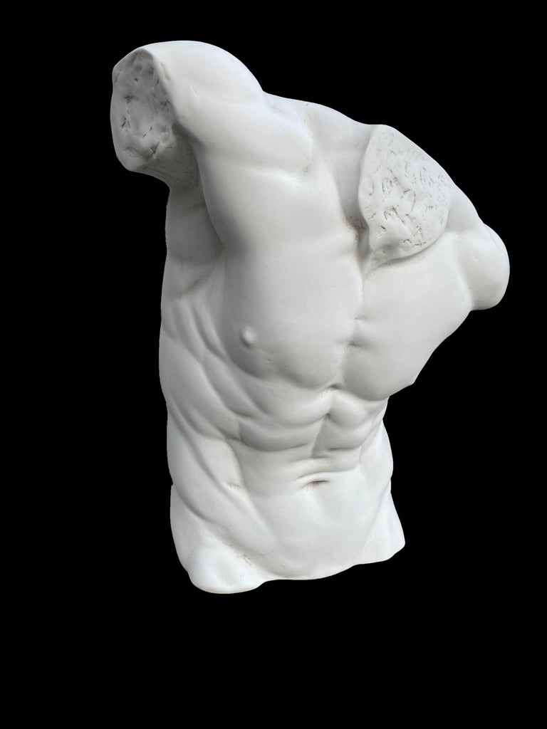 Male Torso Statue, 20th Century For Sale at 1stDibs
