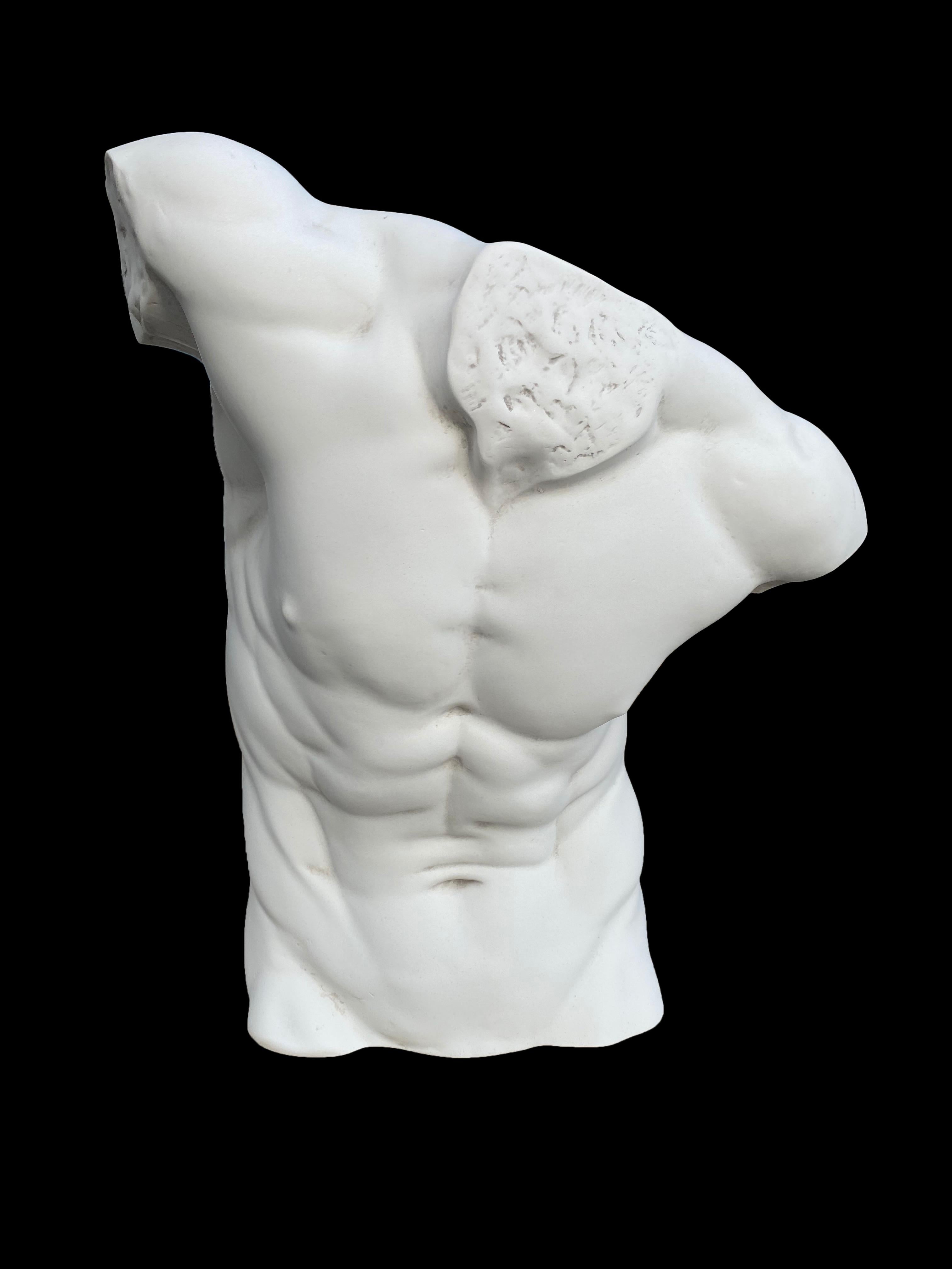 Classical Greek Male Torso Statue, 20th Century For Sale