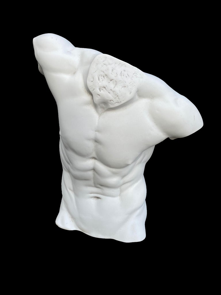 Male Torso Statue, 20th Century For Sale at 1stDibs