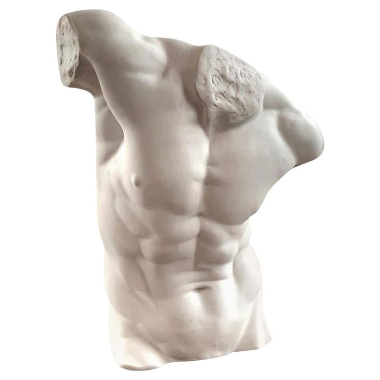 Male Torso Statue, 20th Century For Sale