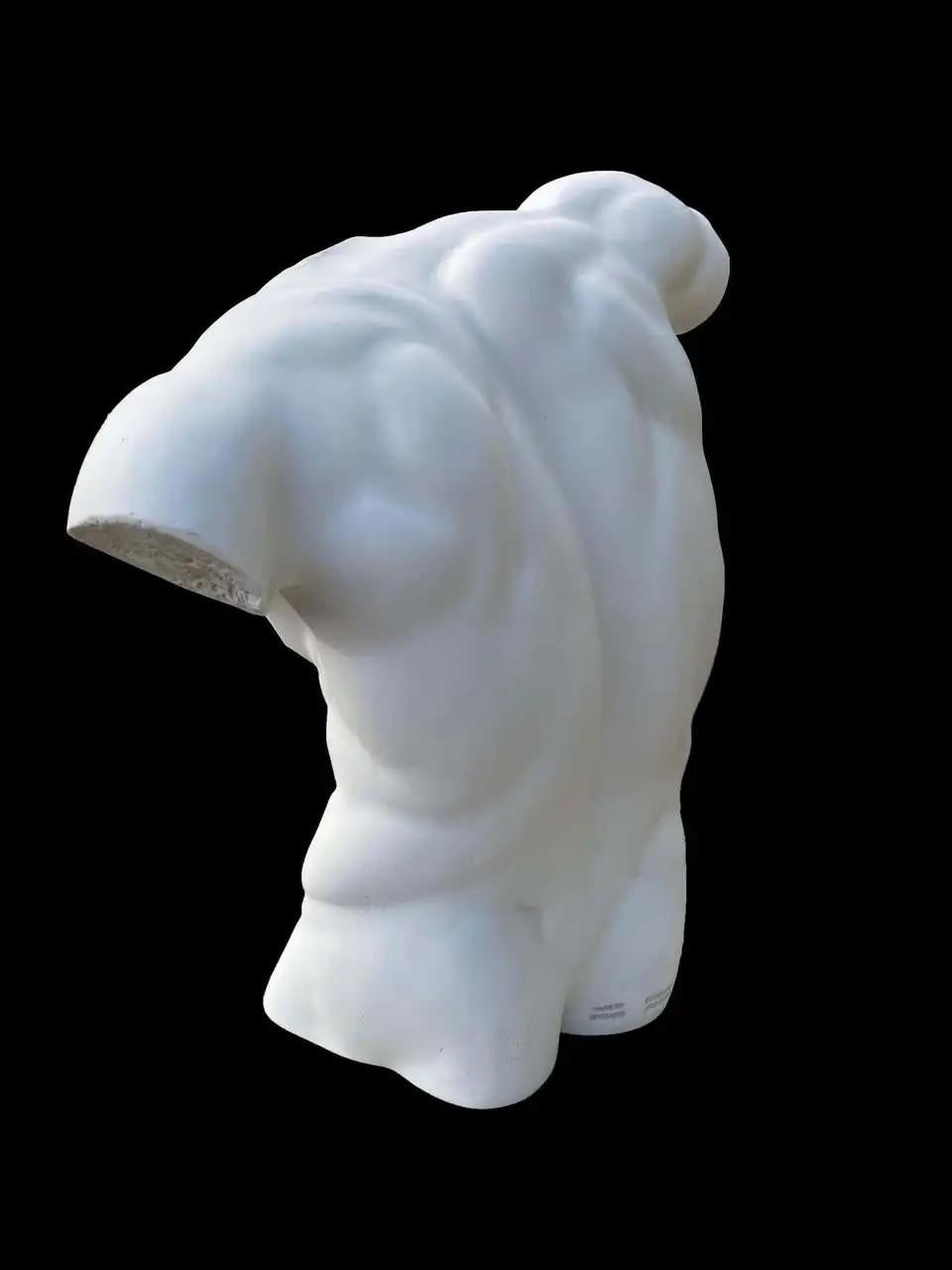 männliche Torso-Statue „Scultpure“, 20. Jahrhundert im Angebot 4
