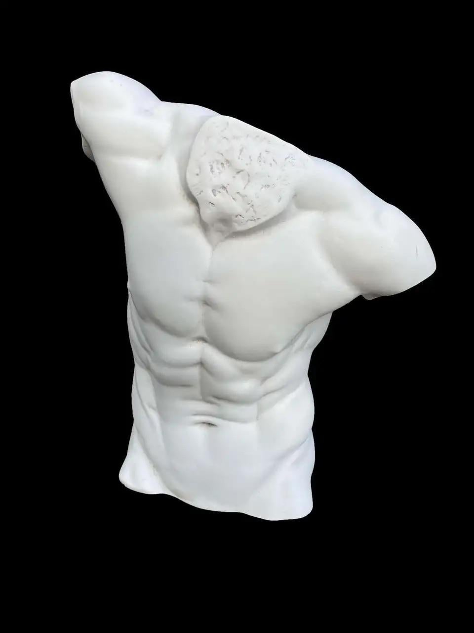 Male Torso Statue Scultpure, 20th Century For Sale 1