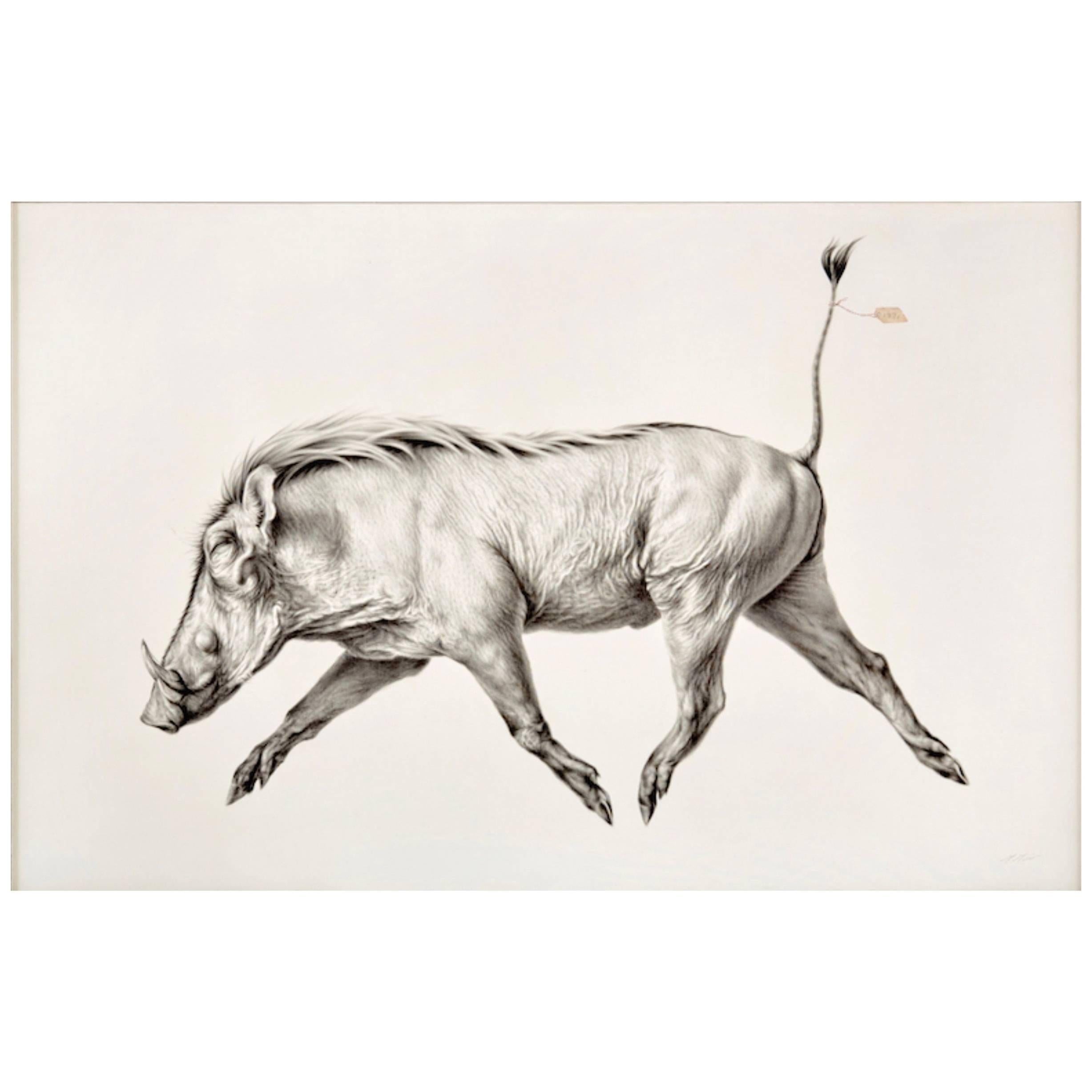 Mali Moir Hypotype - Cape Warthog Charcoal on Cotton Canvas - The Red List 201   For Sale