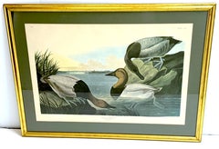 Mallard Duck and Canvasback Duck, After John James Audubon, 20th Century