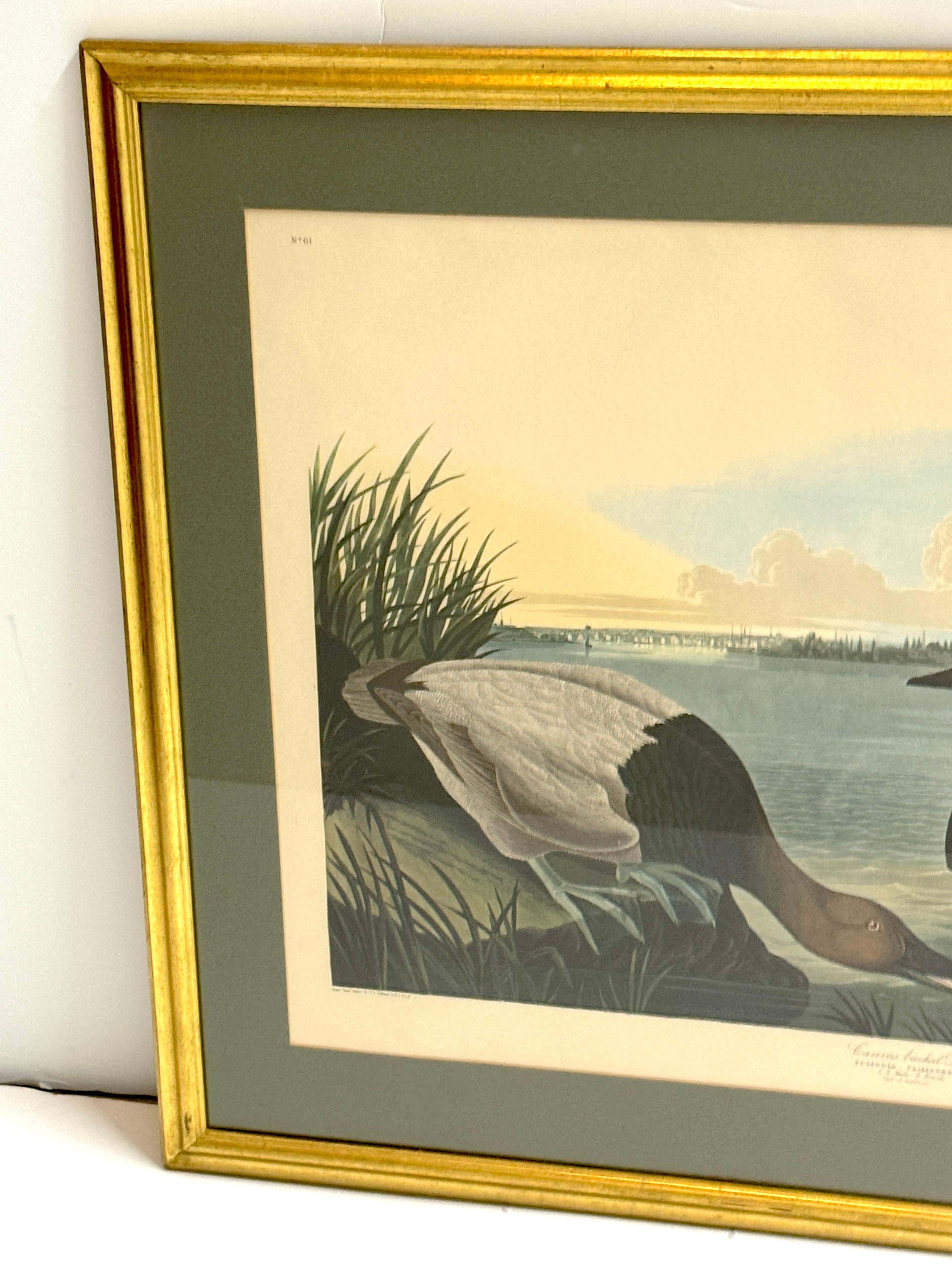 Américain Canard colvert et canard chipeau, d'après John James Audubon, 20e siècle en vente