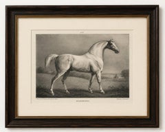 Mambrino – Antique Thoroughbred Horse Portrait, Chalon & Hullmandel c.1840