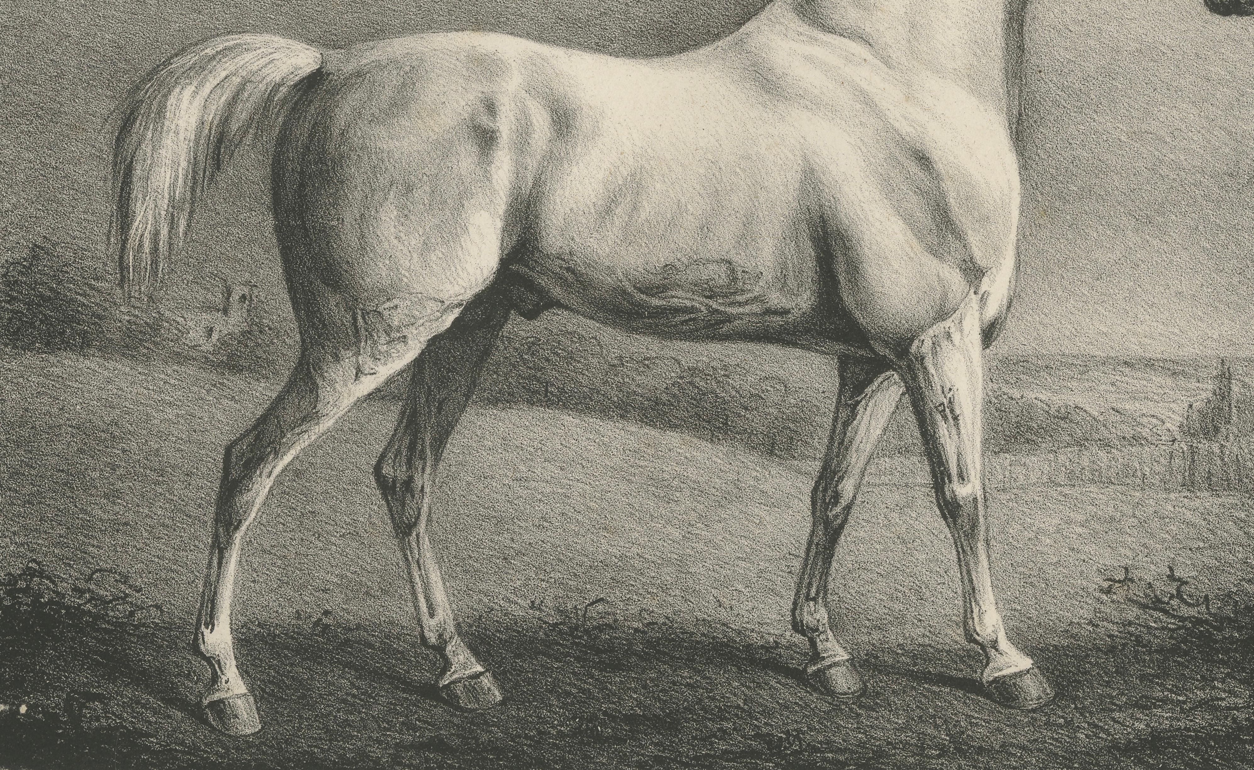 Mambrino – Antique Thoroughbred Horse Portrait, Chalon & Hullmandel c.1840