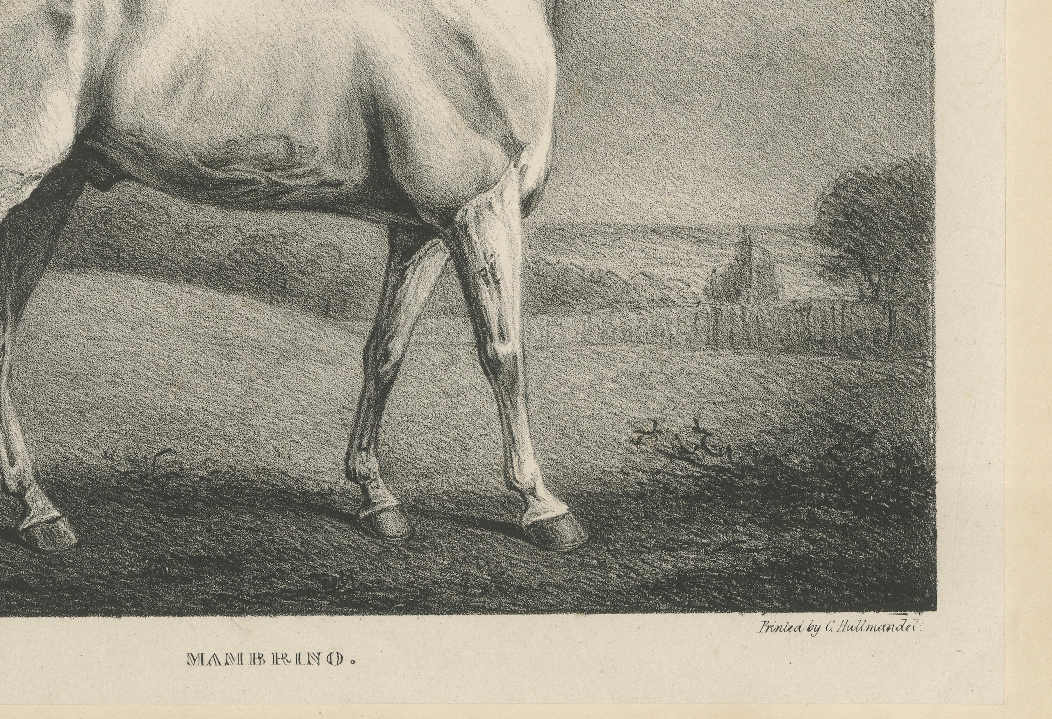 Mambrino – Antique Thoroughbred Horse Portrait, Chalon & Hullmandel c.1840