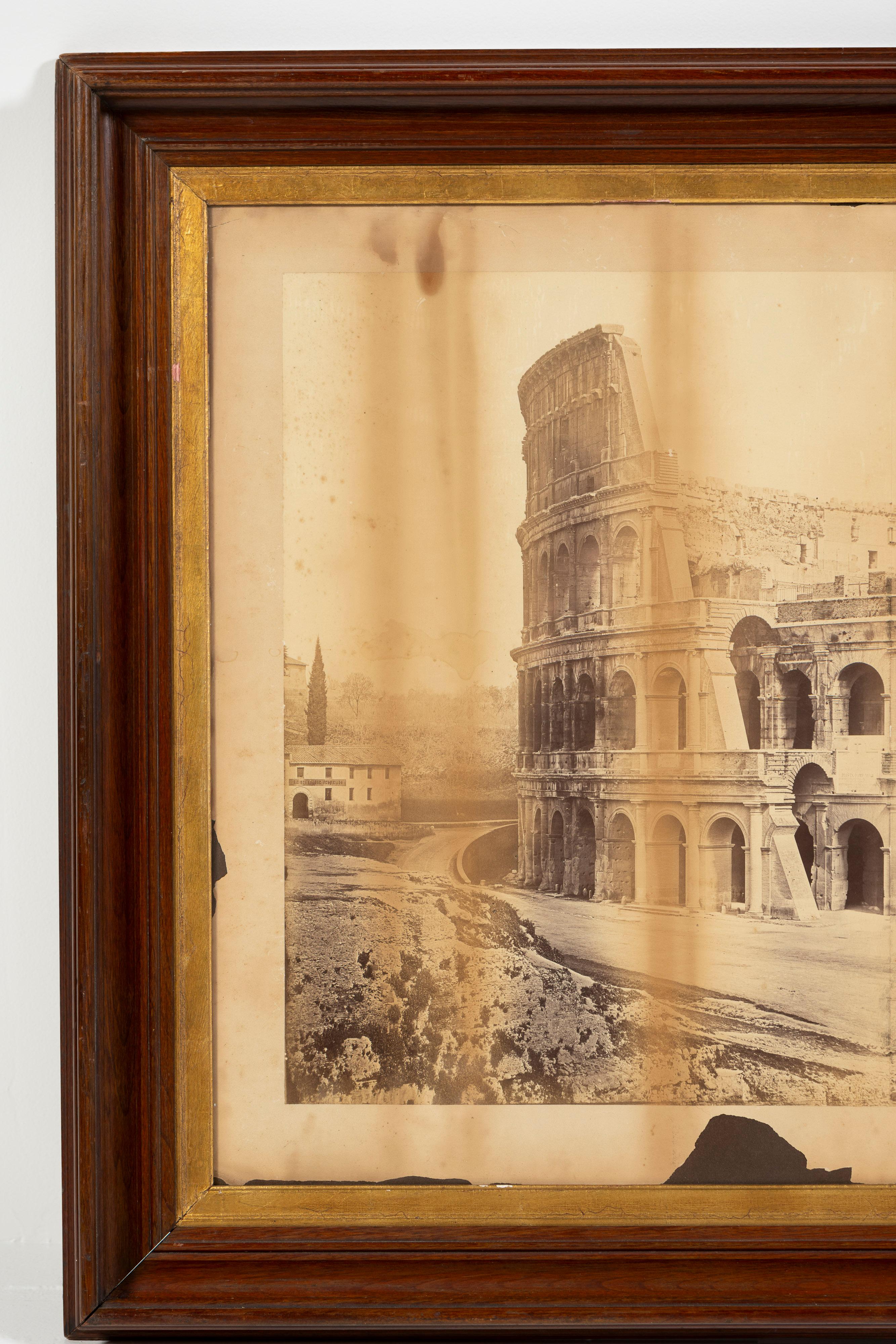 Mamut Fotografía antigua a la plancha, enmarcada, Coliseo romano, Siglo XIX Italiano en venta