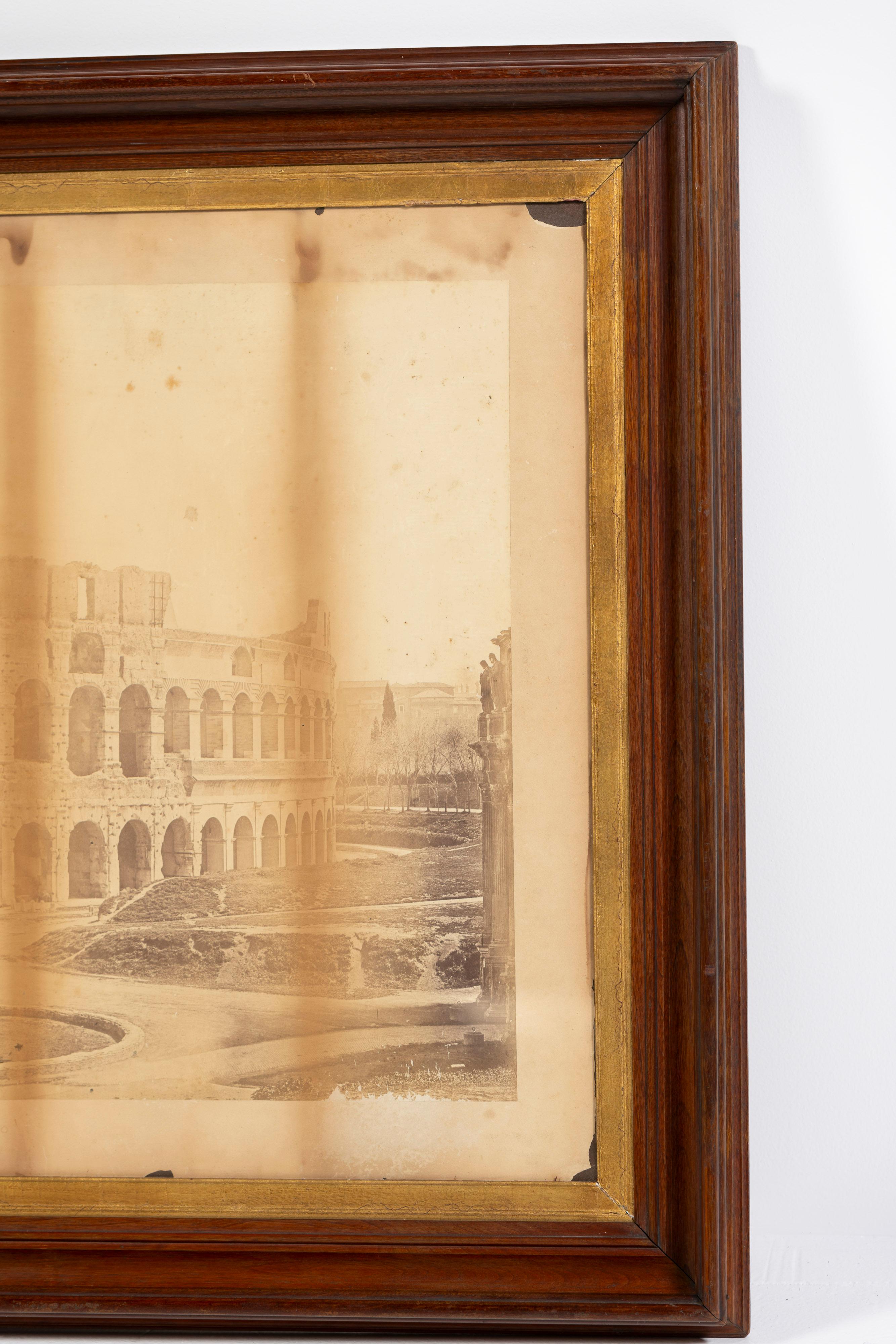 Mamut Fotografía antigua a la plancha, enmarcada, Coliseo romano, Siglo XIX en Bastante bueno estado para la venta en San Francisco, CA
