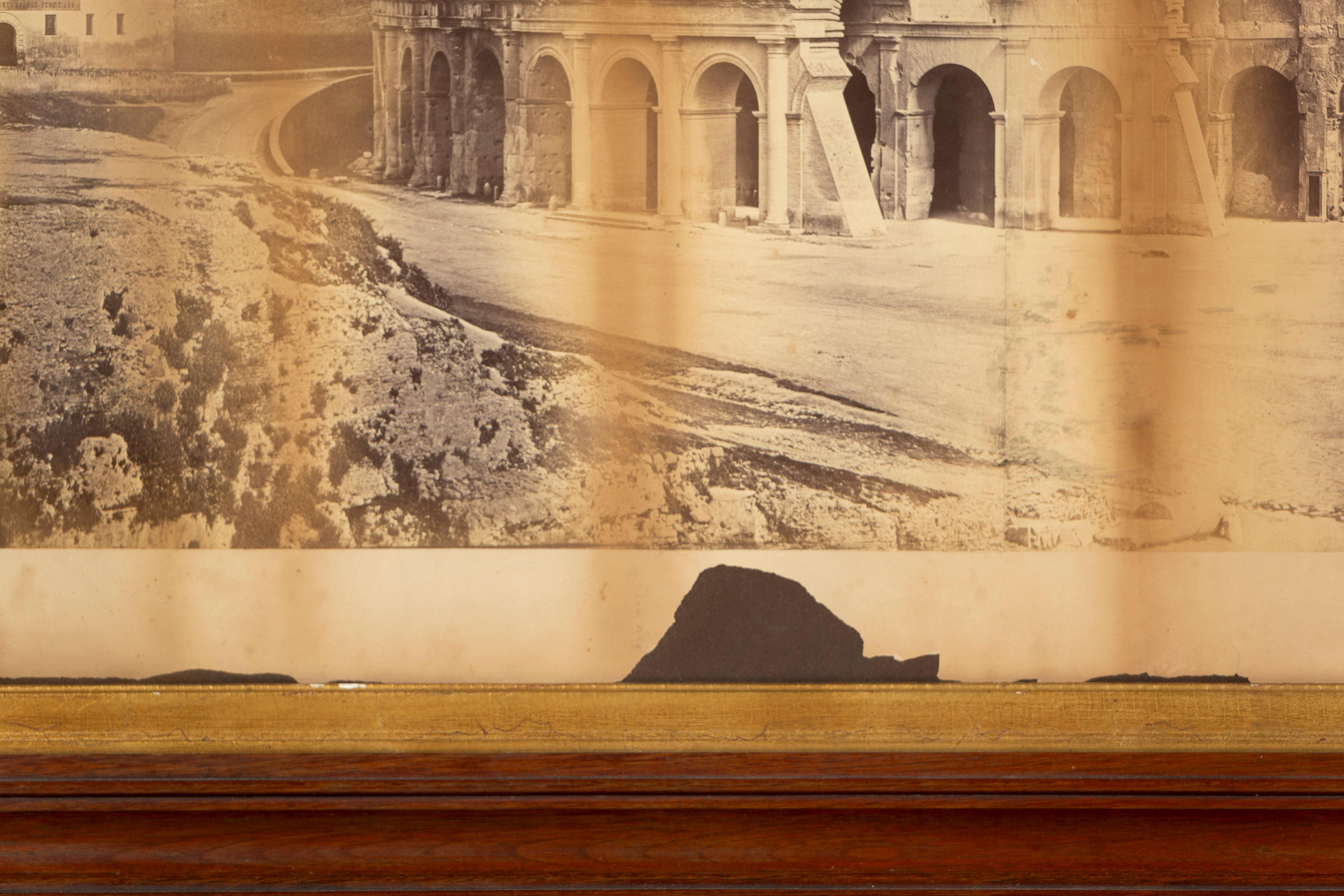 Mamut Fotografía antigua a la plancha, enmarcada, Coliseo romano, Siglo XIX Fines del siglo XIX en venta