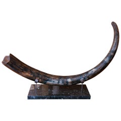 Mammoth Medium Dark Tusk