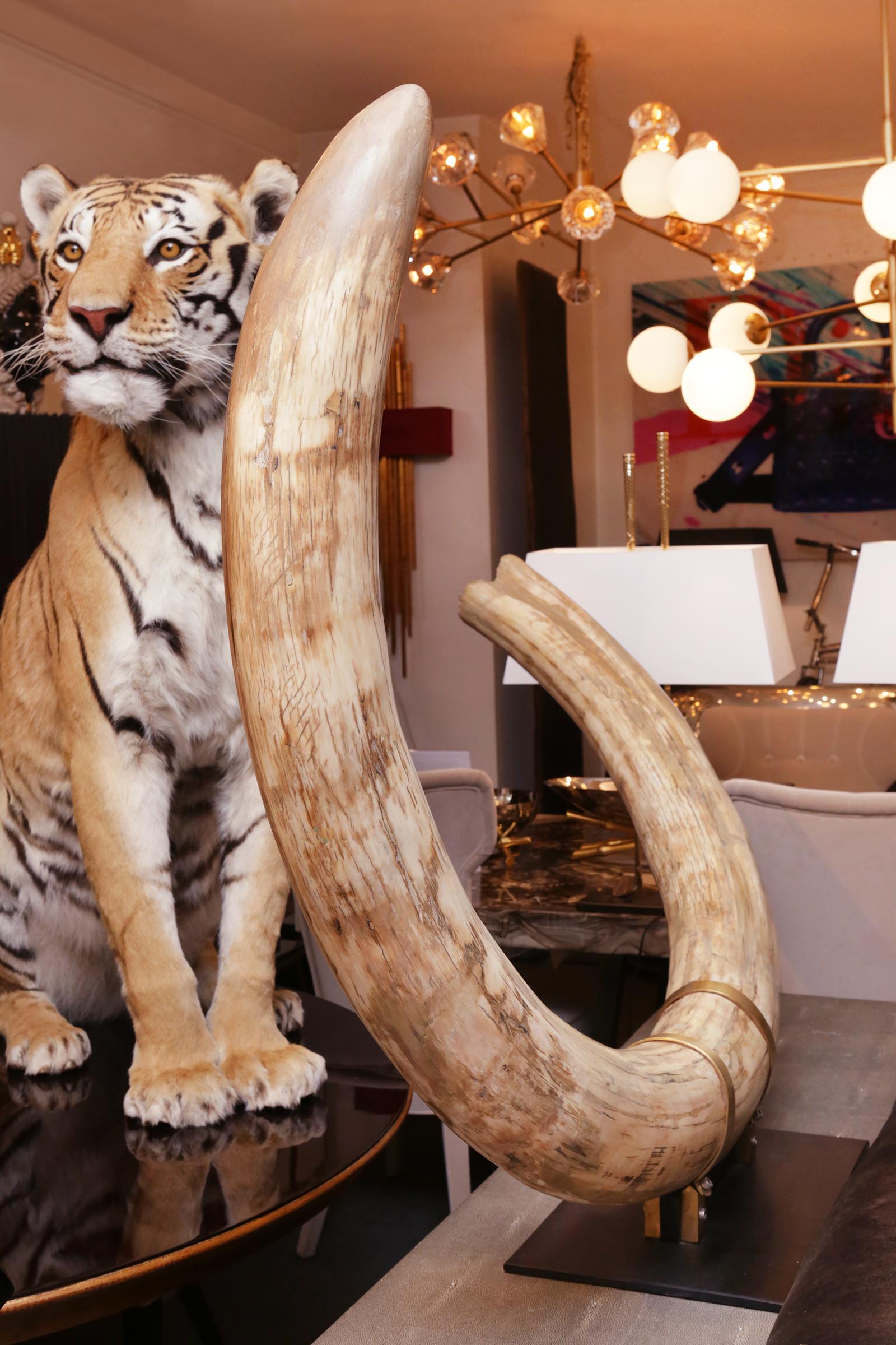 Hand-Crafted Mammoth Pure Ivory Big Tusk