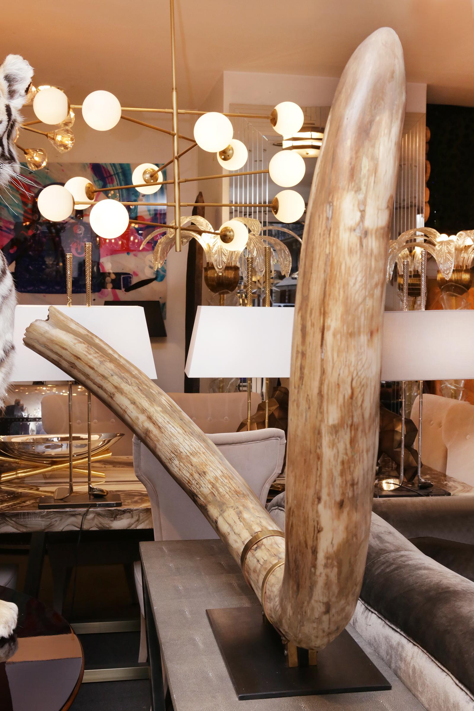 Mammoth Pure Ivory Big Tusk In Excellent Condition In Paris, FR