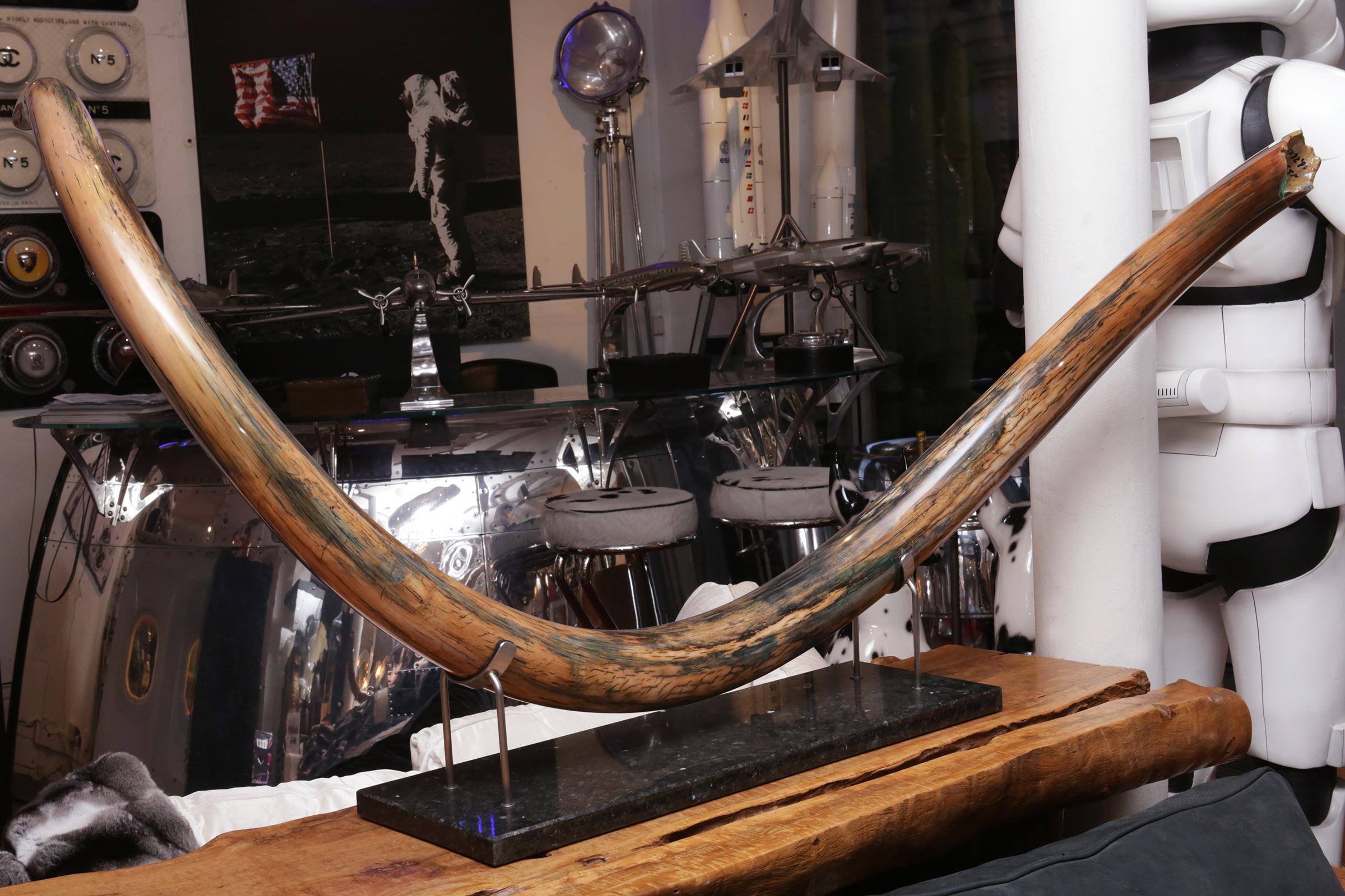 Colmillo de mamut grande Hecho a mano