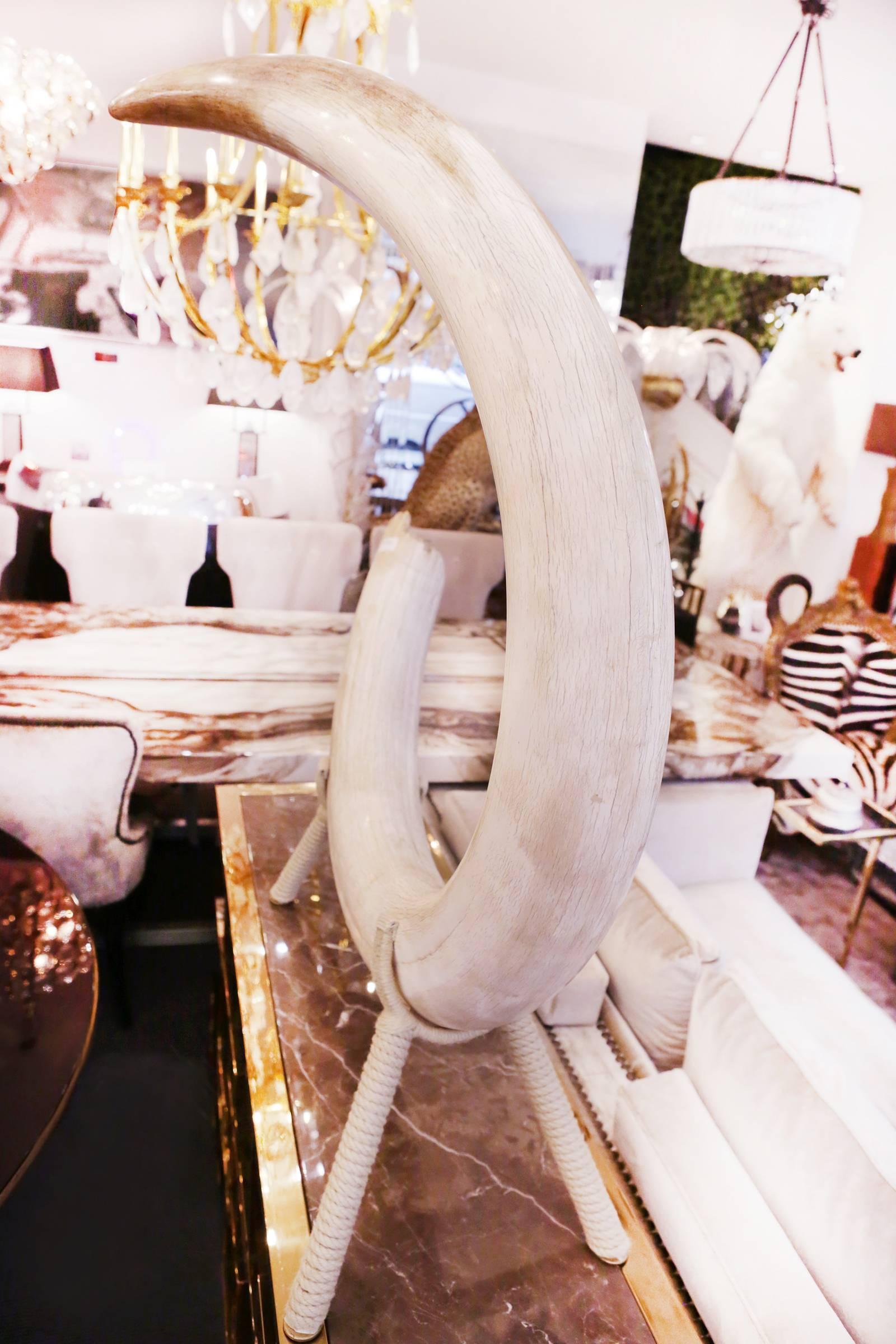 Contemporary Mammoth Tusk Pure Ivory