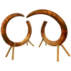 Mammoth Tusk Set of Two King-Size