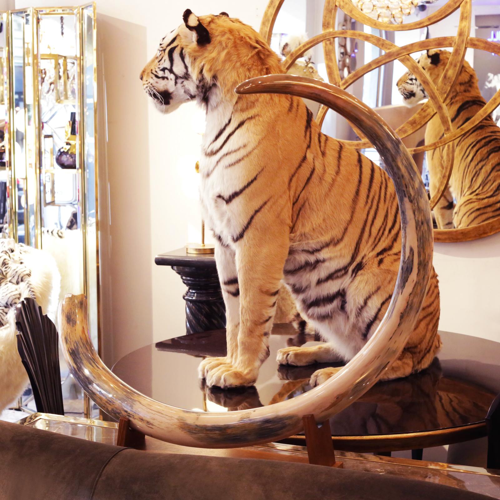 Mammoth Tusk Single Large In New Condition In Paris, FR