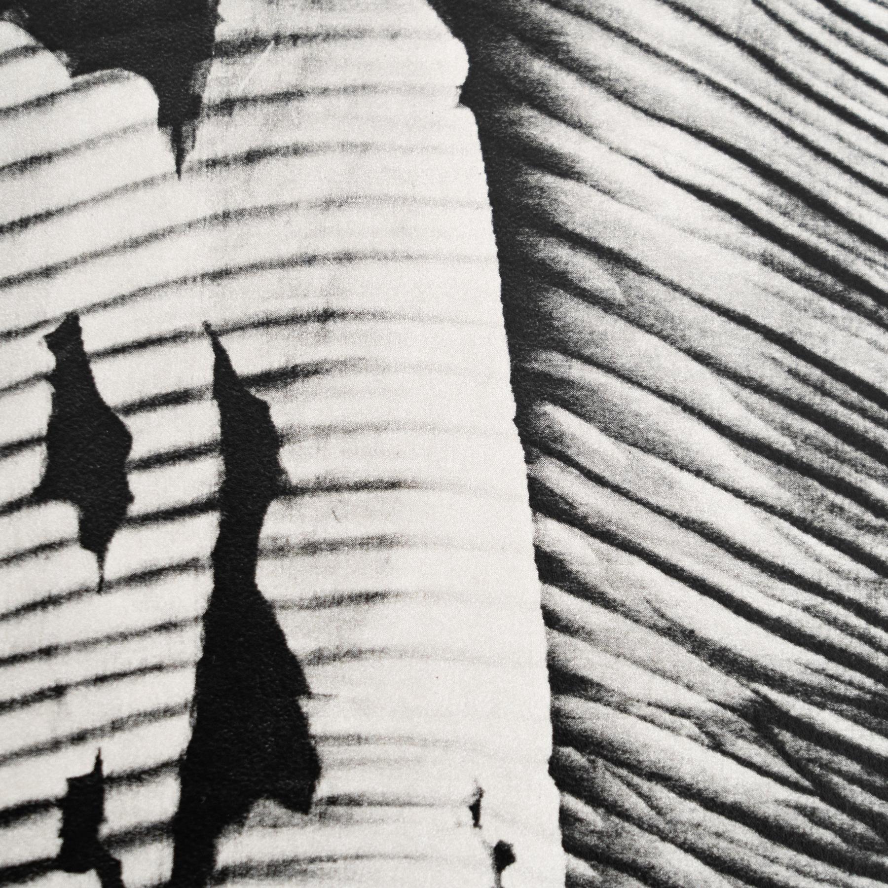 Papier Photographie encadrée de Man Ray en noir et blanc en vente
