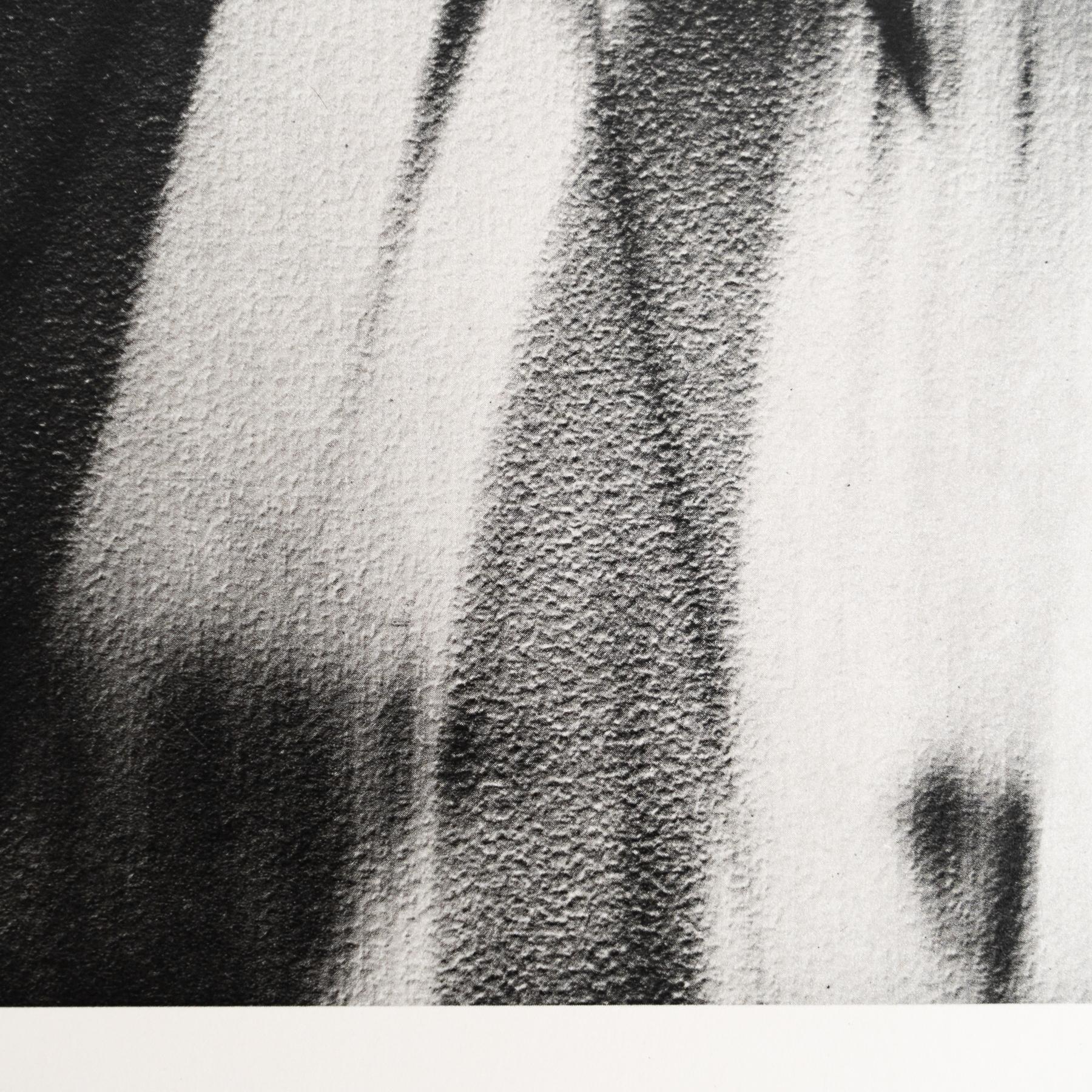 Rayógrafo Man Ray enmarcado en blanco y negro - Heliograbado de edición limitada finales del siglo XX en venta