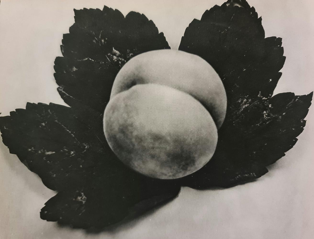 Portrait Photograph de Man Ray - MAN RAY (1890-1976), FLOR Y MELOCOTÓN, 1934 Fotograbado, PRIMERA EDICIÓN