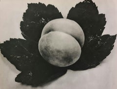 Antique MAN RAY (1890-1976), FLOWER AND PEACH, 1934 Photogravure, FIRST EDITION