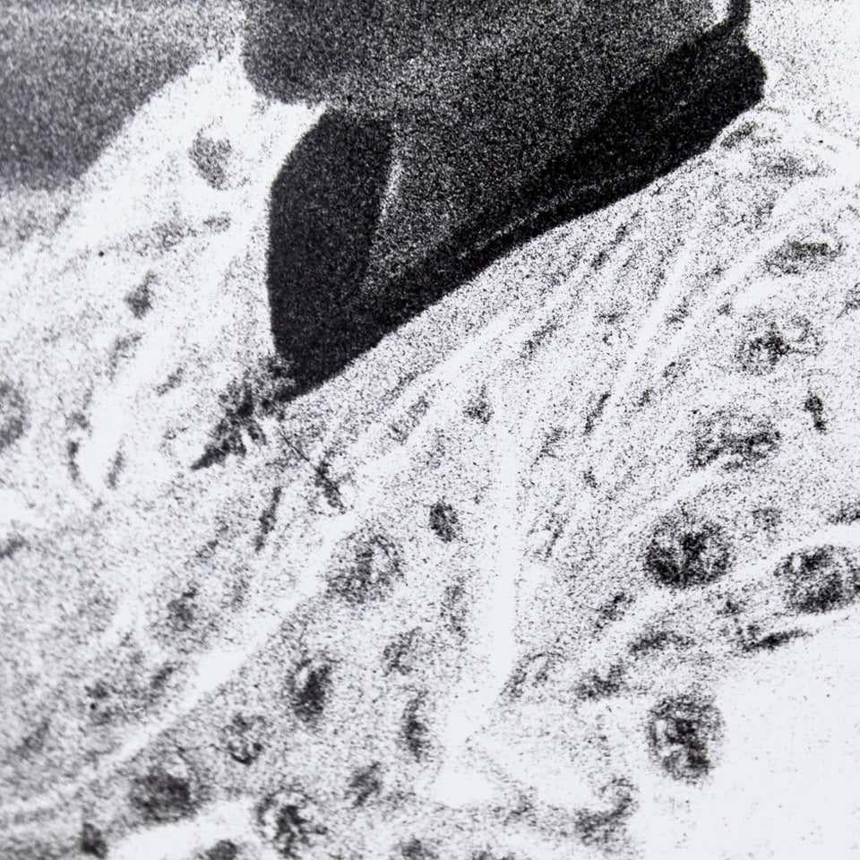 Man Ray-Fotografie von Gertrude Stein im Zustand „Gut“ im Angebot in Barcelona, Barcelona