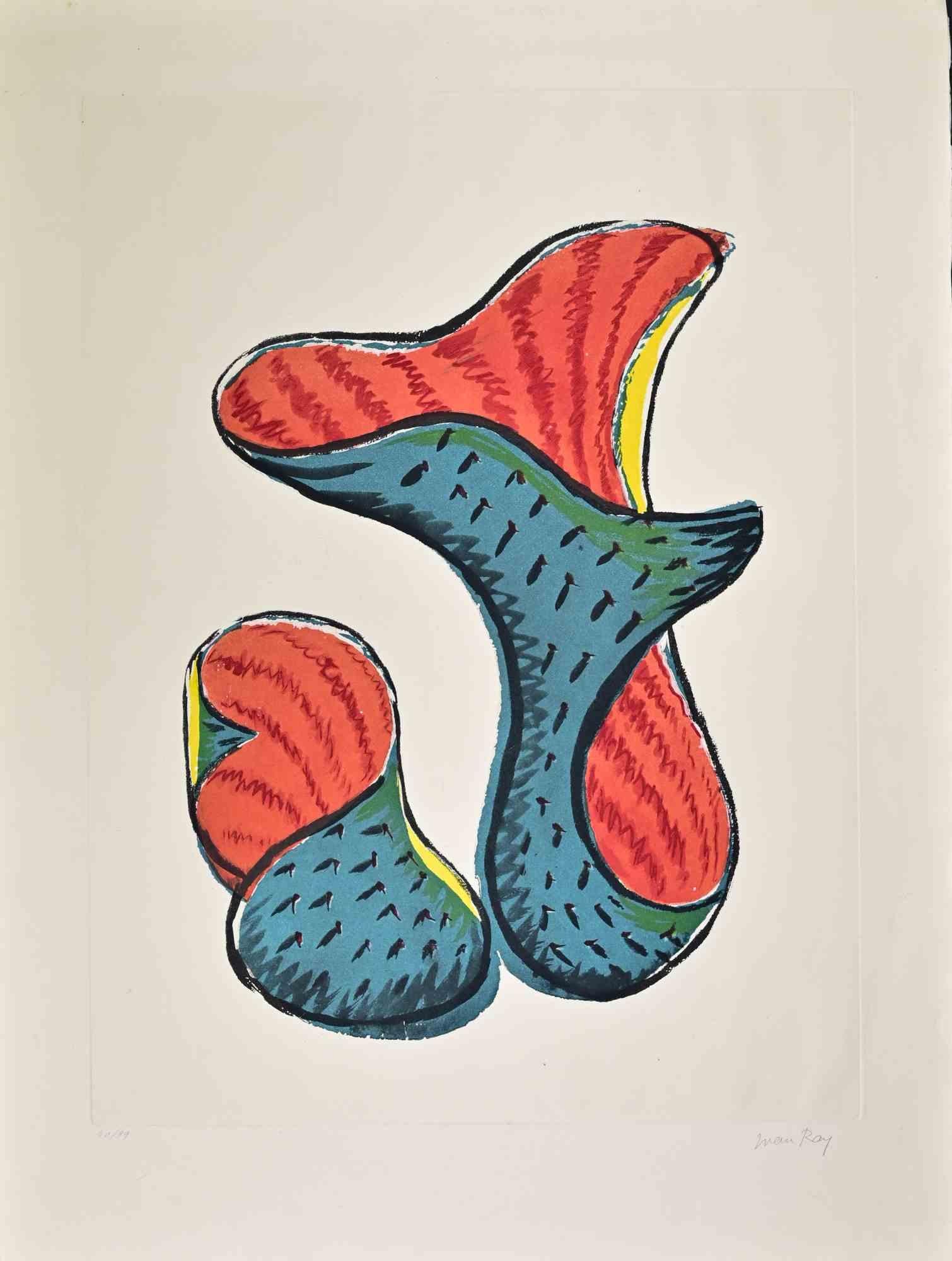 Trasfiguration d'un Cactus - Etching by Man Ray - 1960s