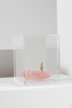 Mandacaru Series, Stone and Brass Cactus Sculpture in Acrylic Box