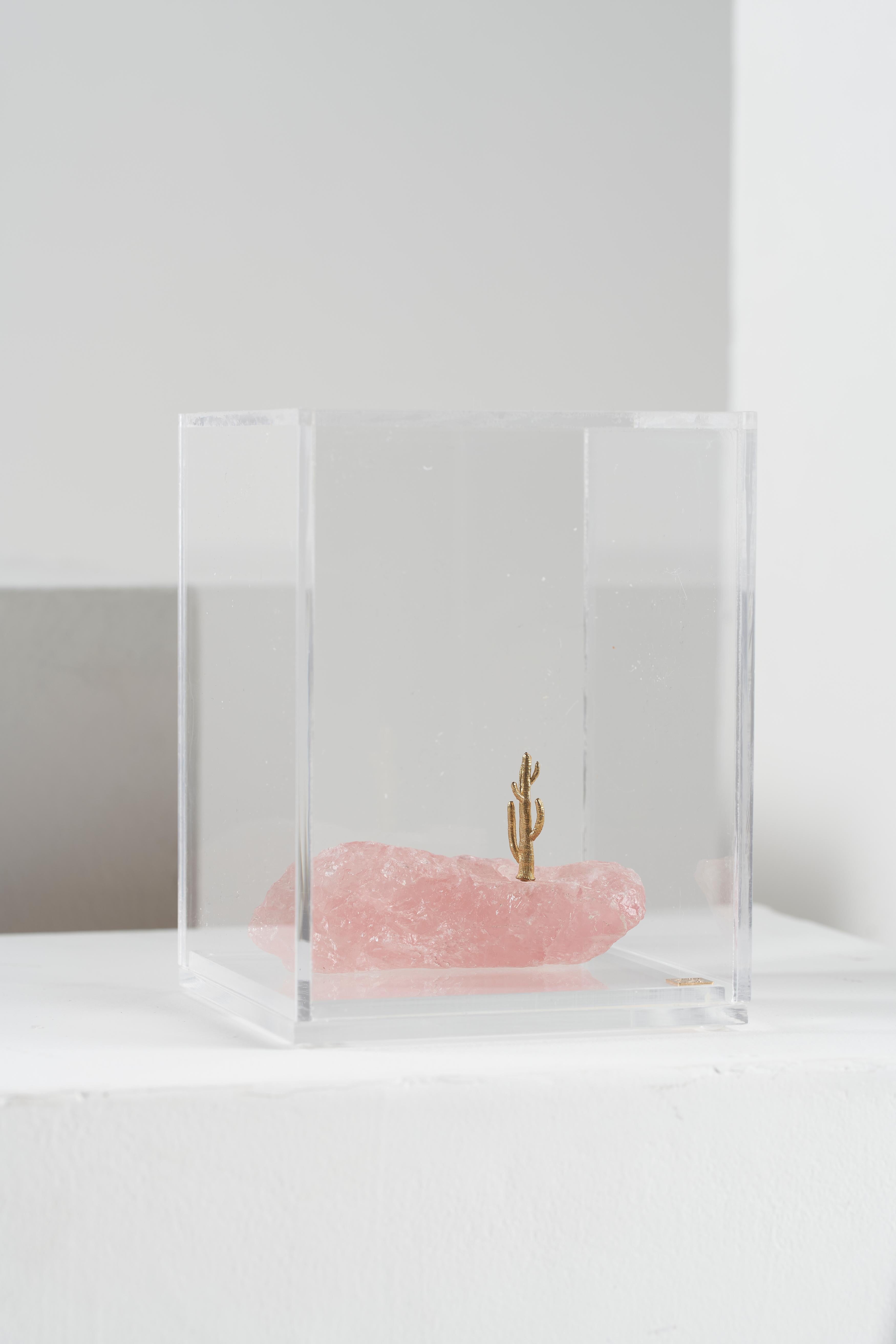 Minimalist Mandacaru Series, Stone and Brass Cactus Sculpture in Acrylic Box For Sale