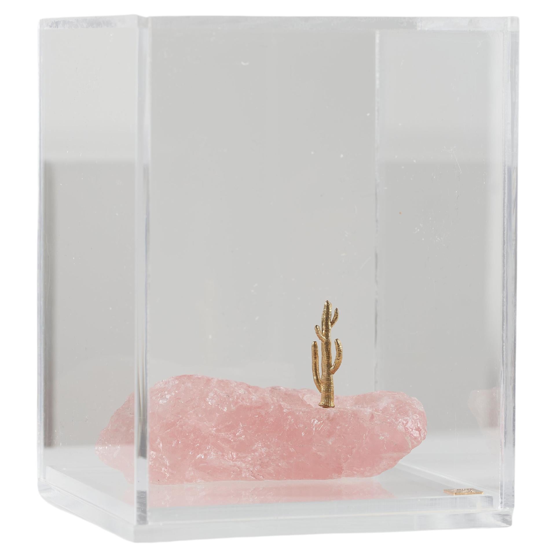 Mandacaru Series, Stone and Brass Cactus Sculpture in Acrylic Box For Sale