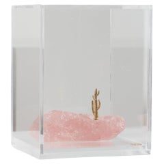 Mandacaru Series, Stone and Brass Cactus Sculpture in Acrylic Box